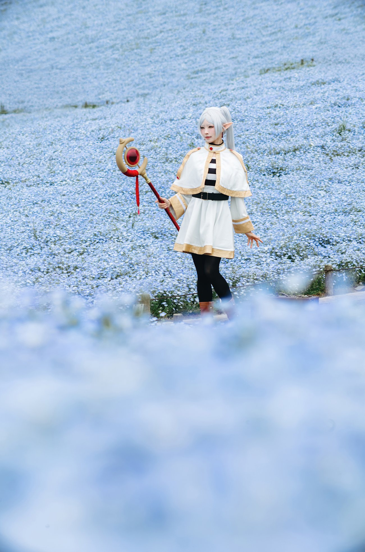 169841207285924-BVPh1r.jpg